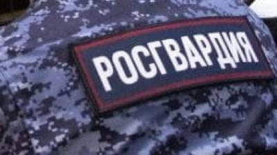 Сотрудники Росгвардии в Москве задержали сбившего двух пешеходов мужчину
