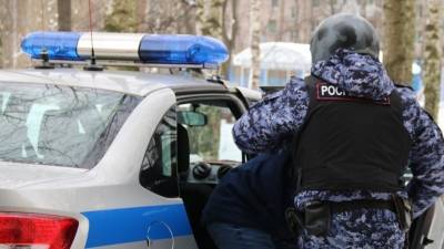 В Москве сотрудники Росгвардии задержали сбившего пешеходов пьяного водителя