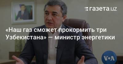 «Наш газ сможет прокормить три Узбекистана» — министр энергетики