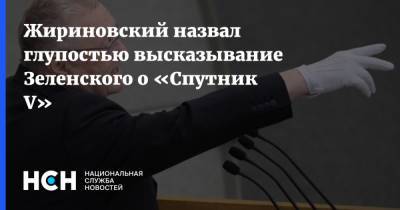 Жириновский назвал глупостью высказывание Зеленского о «Спутник V»