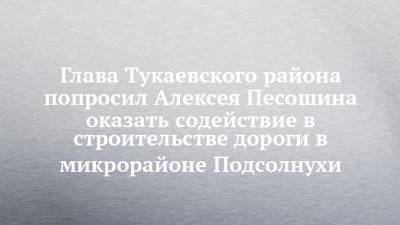 Глава Тукаевского района попросил Алексея Песошина оказать содействие в строительстве дороги в микрорайоне Подсолнухи