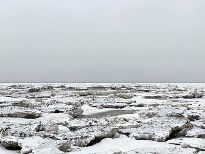 Спасатели нашли морскую мину в Финском заливе, вмерзшую в лед (фото)