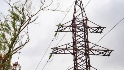 В Крыму 45 тысяч абонентов временно остались без электричества
