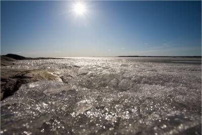 На форелевой ферме в Юкках нашли вмерзшее в лед тело художницы
