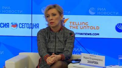 Захарова прокомментировала отношение Гааги к «подопечным» из Украины в деле MH17