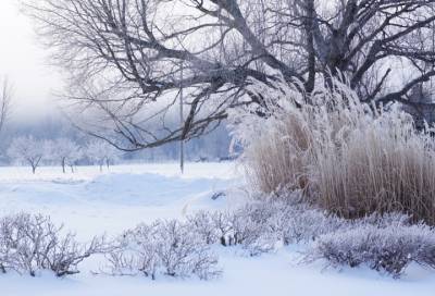 В среду 10 февраля в Ленобласти ожидается снег и до -28 градусов