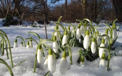 В Украине будет «аномальная» весна: климатолог предупредила о большом количестве осадков
