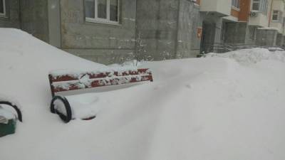 Штормовое предупреждение объявили в Москве из-за надвигающегося снегопада