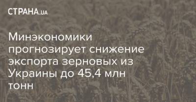 Минэкономики прогнозирует снижение экспорта зерновых из Украины до 45,4 млн тонн