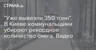 "Уже вывезли 350 тонн". В Киеве коммунальщики убирают рекордное количество снега. Видео