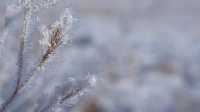Изморозь и небольшой снег ожидаются в Петербурге 10 февраля