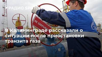 В Калининграде рассказали о ситуации после приостановки транзита газа