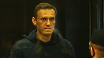 Песков прокомментировал "акцию с фонариками" в поддержку Навального