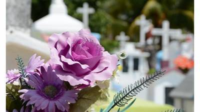 Похоронная компания оспорит в суде право зарабатывать на кладбищах Колпинского района - piter.tv