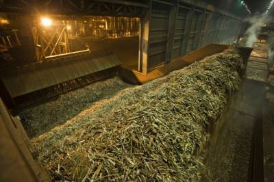 Louis Dreyfus продает бразильцам бизнес по производству сахара и этанола