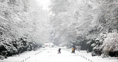 Обильные осадки сохранятся, а морозы ослабнут: прогноз погоды в Украине на среду, 10 февраля