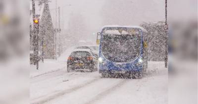 Снежная буря в Европе: Нидерланды замело впервые за 10 лет, в Германии застряли поезда