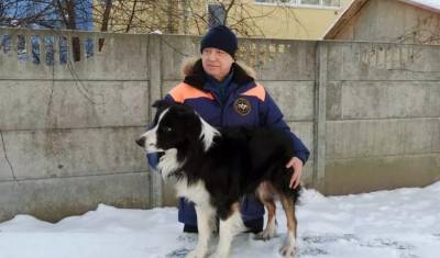 Лучшей служебной собакой-спасателем признан Акай из Калининграда