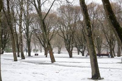 Еще один морозный день прогнозируют псковские синоптики 10 февраля