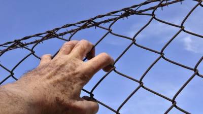 Вскормленные в неволе: крымчанину грозит тюрьма за ловлю редких птиц