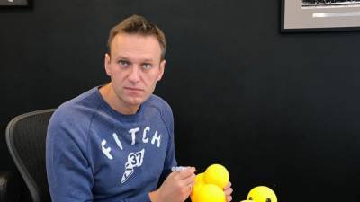 Расследование Навального о "Дворце Путина" спародировали в Уссурийске
