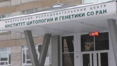 Размером зарплат ученых в Новосибирске теперь занимаются Прокуратура и Следственный комитет