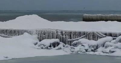 В Калининградской области замерзает море (фото)