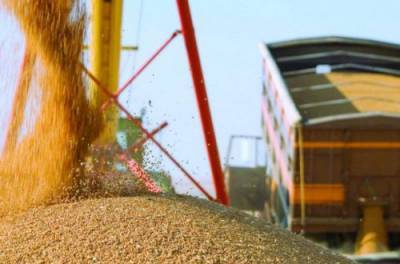 Минэкономики предрекает тяжелые времена для экспорта зерновых