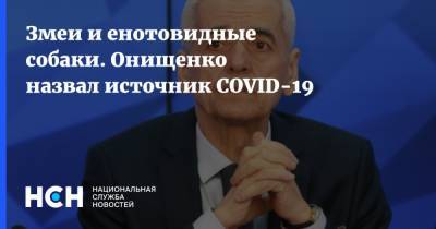 Змеи и енотовидные собаки. Онищенко назвал источник COVID-19