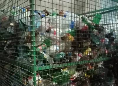 Названа проблема раздельного сбора мусора в Ленобласти