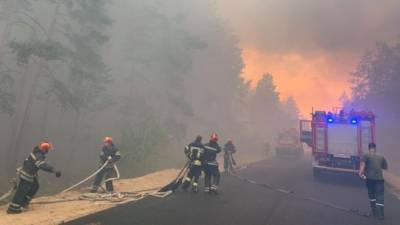 Работников ГСЧС Луганщины подозревают в фейковом тушении смертельных лесных пожаров