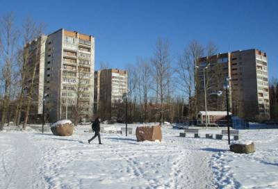 В Сосновом Бору одиноким жителям помогут с уборкой снега и доставкой продуктов