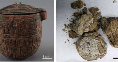 В древней китайской гробнице ученые обнаружили 2700-летний крем для лица (фото)