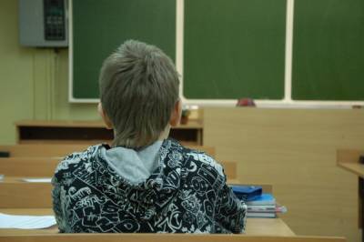 Школа без насилия. В Карелии выпустили методичку по борьбе с буллингом – Учительская газета