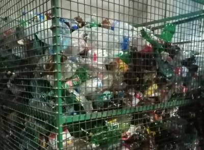 Эксперты заявили о провальном опыте работы по раздельному сбору мусора в Ленобласти