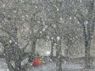 На Киев надвигаются сильные снегопады и метели