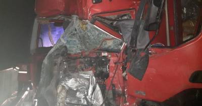В Полтавской области столкнулись два грузовика: погибли водители