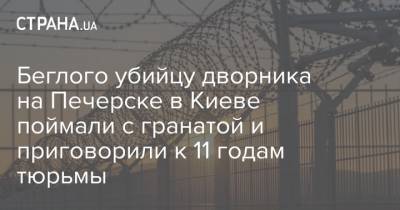 Беглого убийцу дворника на Печерске в Киеве поймали с гранатой и приговорили к 11 годам тюрьмы