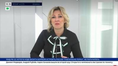 Захарова прокомментировала заявления об унижении Борреля в России
