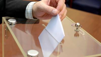 В Общественной палате презентовали программу подготовки наблюдателей на выборах
