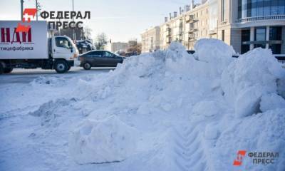 Синоптик объяснил, когда в Москве растает снег