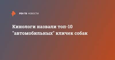 Владимир Голубев - Кинологи назвали топ-10 "автомобильных" кличек собак - ren.tv