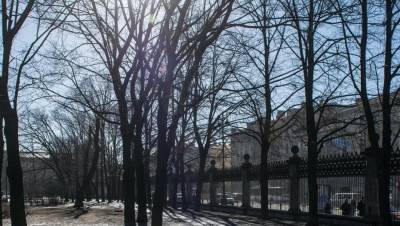 Потепление до +5 ждёт Петербург в первый день весны