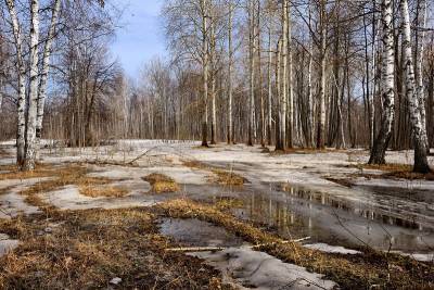 Сколько продлится оттепель в Смоленской области