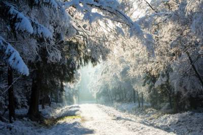 Зимой-2020/21 зафиксировано почти 80 температурных рекордов - naviny.by - Мстиславль