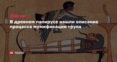 3500 лет. В древнем папирусе нашли описание процесса мумификации трупа