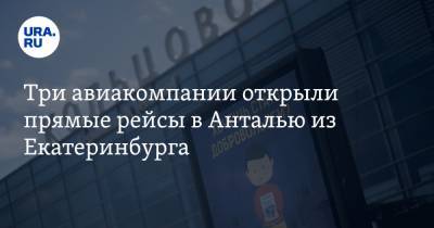 Три авиакомпании открыли прямые рейсы в Анталью из Екатеринбурга