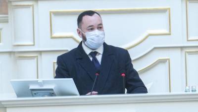 Депутат просит петербуржцев помочь журналистам вернуться в ЗакС