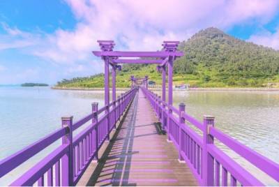 Идеальная Instagram-локация: курортный остров в Корее полностью покрасили в фиолетовый цвет