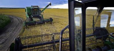 Сельхозкооперативам Карелии изменили правила выдачи субсидий